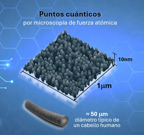 Imagen de microscopía de fuerza atómica de puntos cuánticos autoensamblados